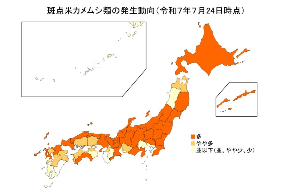 斑点米カメムシ類の発生動向