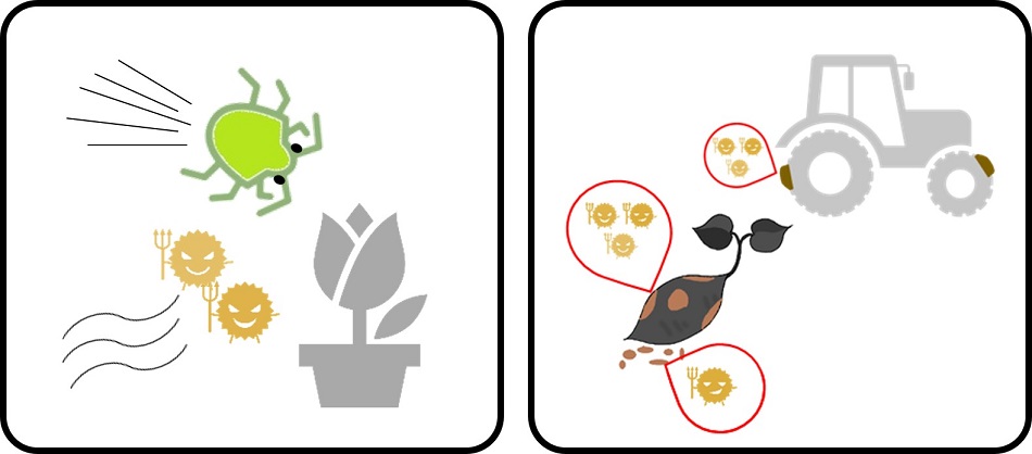 (ア)病害虫自体の移動、(イ)土を介した移動