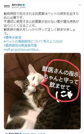 ツイッター薬剤耐性普及啓発猫の投稿
