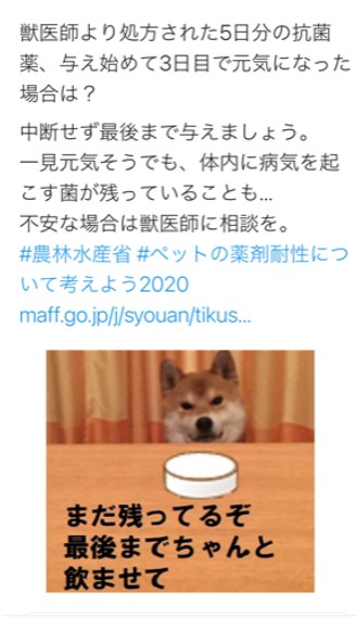 ツイッター薬剤耐性対策普及啓発犬の投稿２