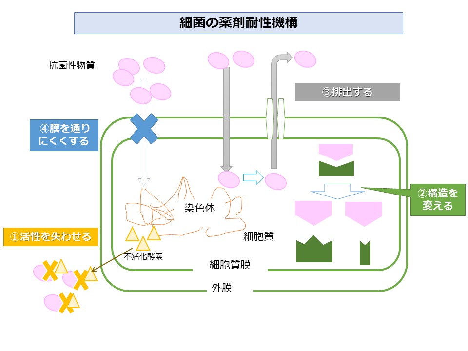 耐性