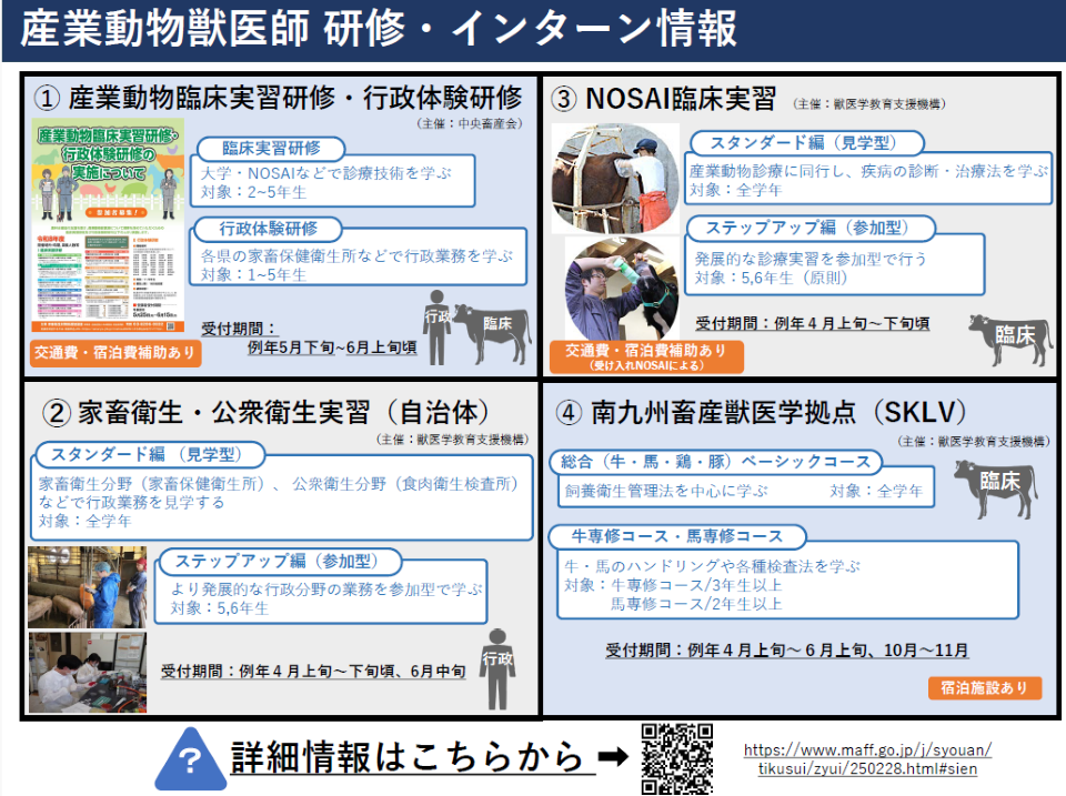 産業動物獣医師 研修・インターン情報」と題した情報フライヤー。白背景に4つのプログラム情報が2×2のグリッド形式で掲載されている。 ①産業動物臨床実習研修・行政体験研修(主催:中央畜産会) 臨床実習研修:大学・NOSAIなどで診療技術を学ぶ(対象:2~5年生)/行政体験研修:各県の家畜保健衛生所などで行政業務を学ぶ(対象:1~5年生)。受付期間:例年5月下旬~6月上旬頃。交通費・宿泊費補助あり。 ②家畜衛生・公衆衛生実習(自治体)(主催:獣医学教育支援機構) スタンダード編(見学型):家畜保健衛生所・食肉衛生検査所などで行政業務を見学(対象:全学年)/ステップアップ編(参加型):より発展的な行政分野の業務を参加型で学ぶ(対象:5,6年生)。受付期間:例年4月上旬~下旬頃、6月中旬。 ③NOSAI臨床実習(主催:獣医学教育支援機構) スタンダード編(見学型):産業動物診療に同行し、疾病の診断・治療法を学ぶ(対象:全学年)/ステップアップ編(参加型):発展的な診療実習を参加型で行う(対象:5,6年生・原則)。受付期間:例年4月上旬~下旬頃。交通費・宿泊費補助あり(受け入れNOSAIによる)。 ④南九州畜産獣医学拠点(SKLV)(主催:獣医学教育支援機構) 総合(牛・馬・鶏・豚)ベーシックコース:飼養衛生管理法を中心に学ぶ(対象:全学年)/牛専修コース・馬専修コース:牛・馬のハンドリングや各種検査法を学ぶ(対象:牛専修コース3年生以上、馬専修コース2年生以上)。受付期間:例年4月上旬~6月上旬、10月~11月。宿泊施設あり。 フライヤー下部に「詳細情報はこちらから→」の案内とQRコード、およびURL(https://www.maff.go.jp/j/syouan/tikusui/zyui/250228.html#sien)が掲載されている。