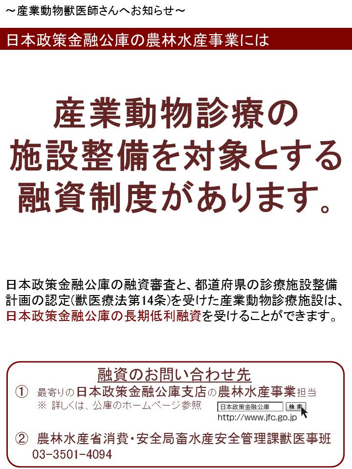 チラシ画像