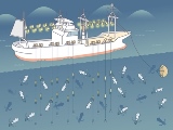 いか釣
