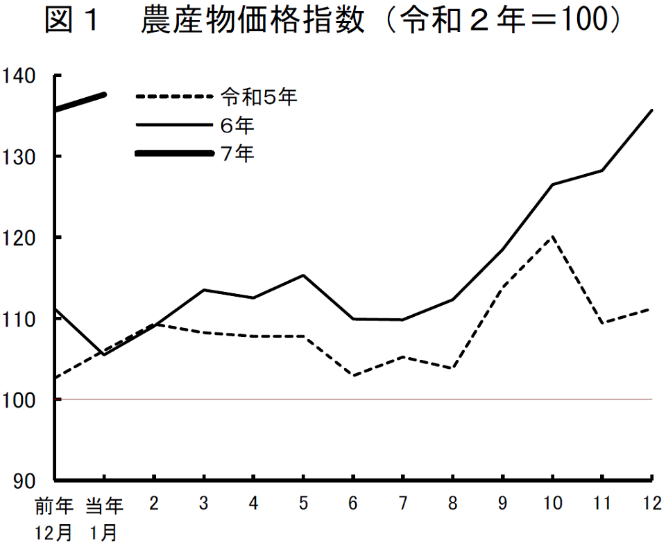 ポケット農林水産統計 平成７年版/農林統計協会/農林水産省経済局（単行本） ポケット農林水産統計 平成7年版/農林統計協会/農林水産省経済