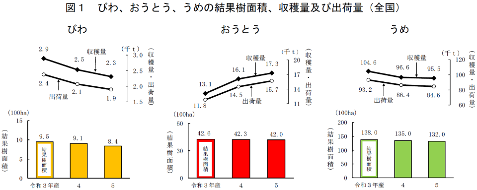 図1 びわ、おうとう、うめの結果樹面積、収穫量及び出荷量（全国）