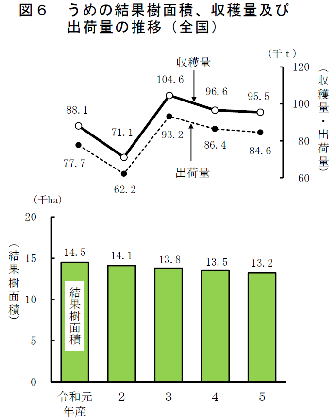 図6 うめの結果樹面積、収穫量及び 出荷量の推移（全国）