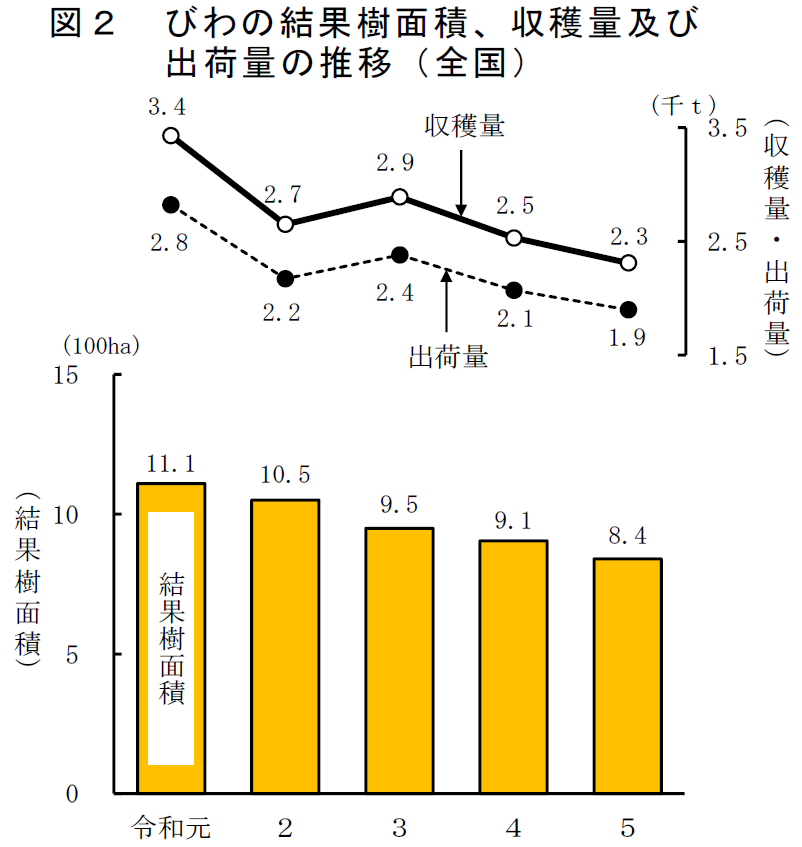 図2 びわの結果樹面積、収穫量及び出荷量の推移（全国）