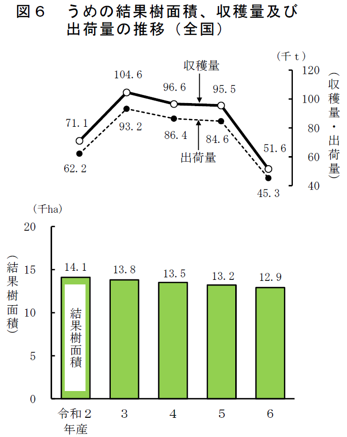 図6 うめの結果樹面積、収穫量及び 出荷量の推移（全国）