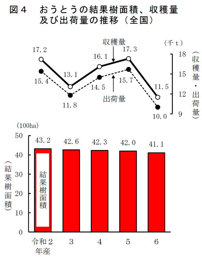 図4 おうとうの結果樹面積、収穫量 及び出荷量の推移（全国）