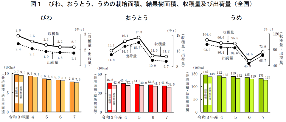 図1 びわ、おうとう、うめの結果樹面積、収穫量及び出荷量（全国）