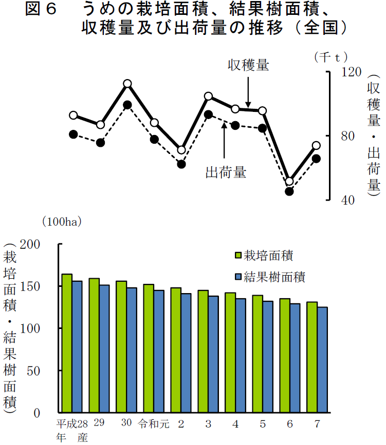 図6 うめの結果樹面積、収穫量及び 出荷量の推移（全国）