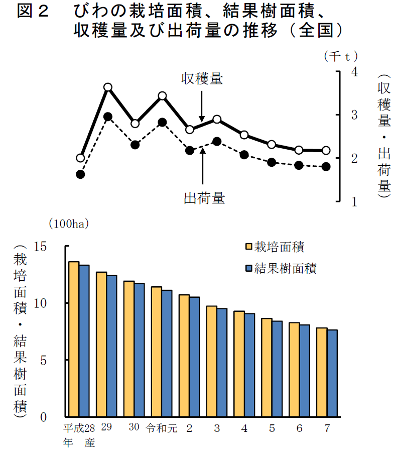 図2 びわの結果樹面積、収穫量及び出荷量の推移（全国）