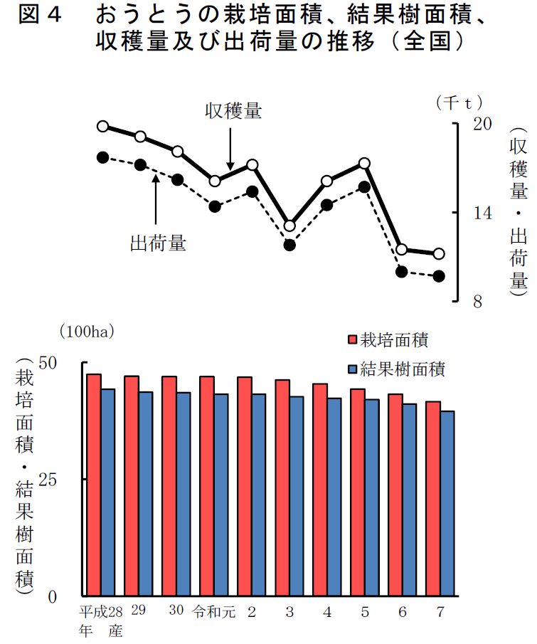 図4 おうとうの結果樹面積、収穫量 及び出荷量の推移（全国）