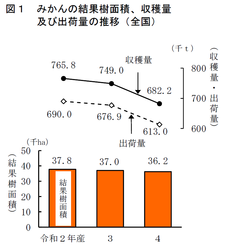 図1 みかんの結果樹面積、収穫量 及び出荷量の推移（全国）