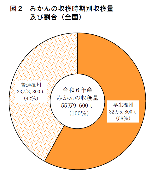 図2 みかんの収穫時期別収穫量及び割合（全国）