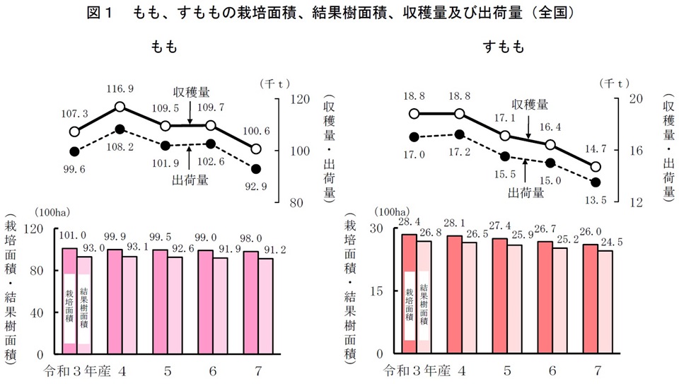 図1 もも、すももの栽培面積、結果樹面積、収穫量及び出荷量（全国）