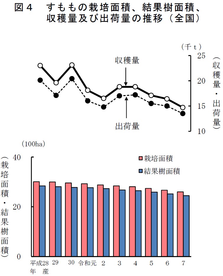 図4 すももの栽培面積、結果樹面積、収穫量及び出荷量の推移（全国）