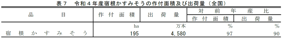 表7 令和4年産宿根かすみそうの作付面積及び出荷量（全国）