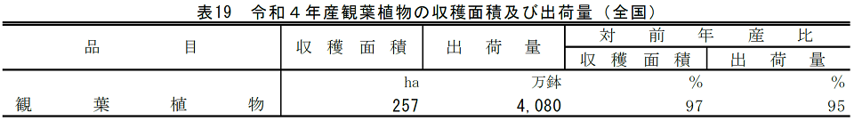 表19 令和4年産観葉植物の収穫面積及び出荷量（全国）