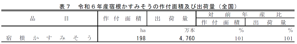 表7 令和6年産宿根かすみそうの作付面積及び出荷量（全国）