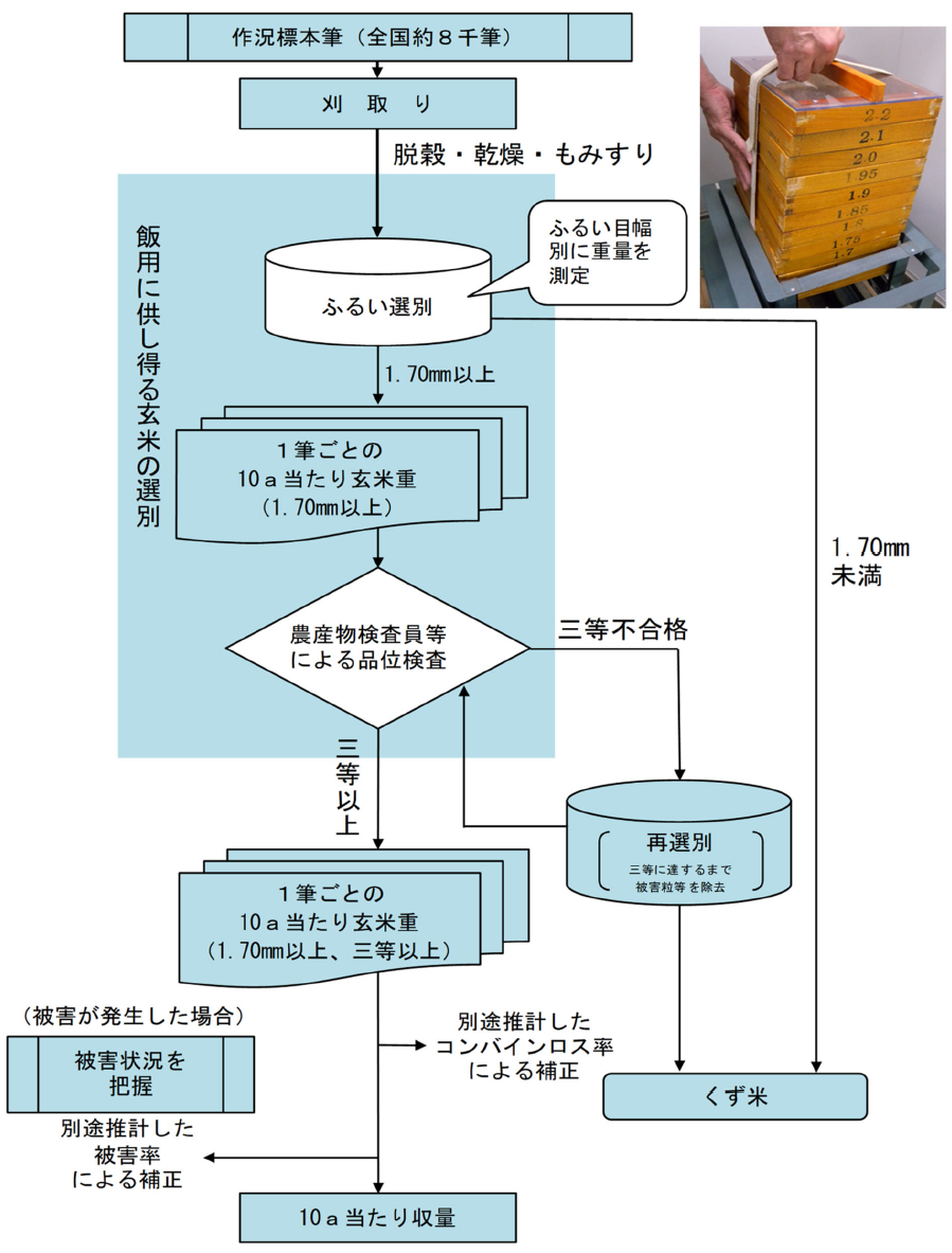 収穫量調査の流れ