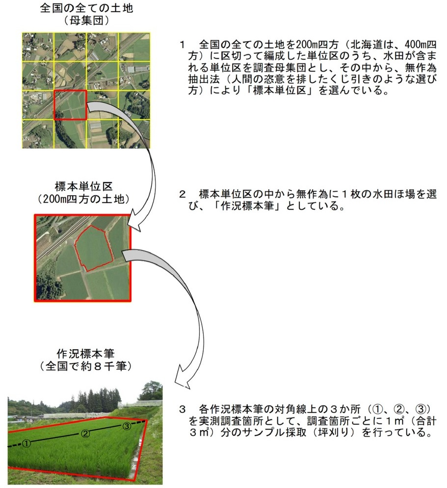 作況標本筆とは