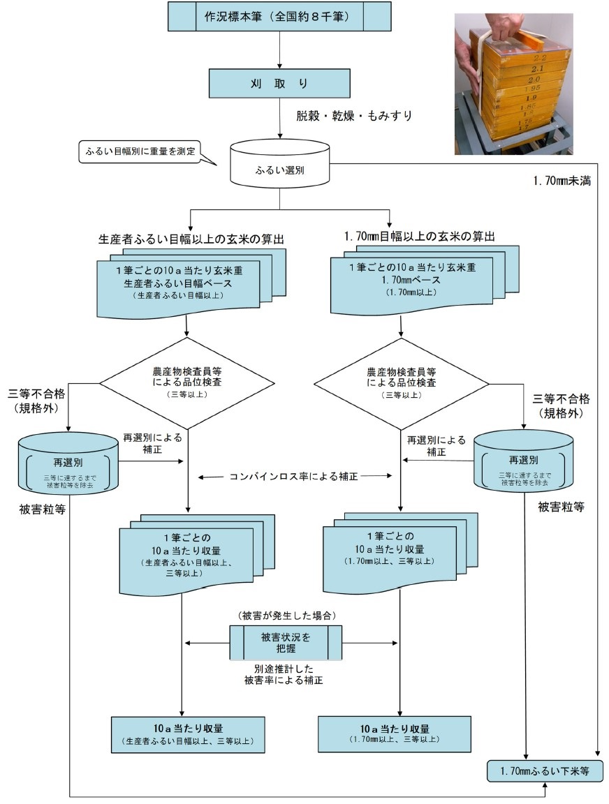 刈取り調査における10a当たり収量の算出方法