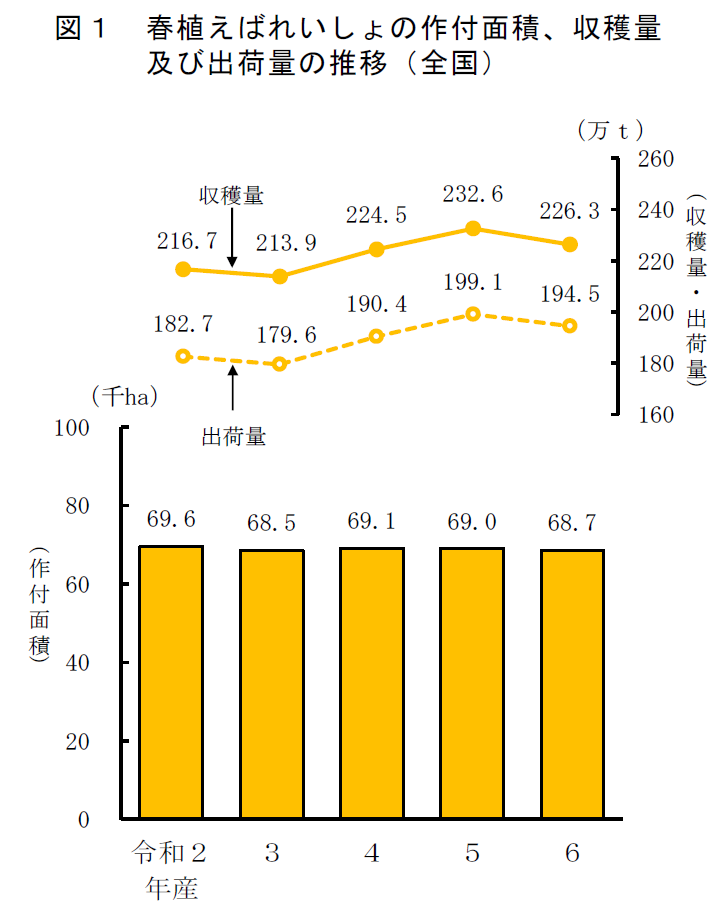 令和6年産春植えばれいしょの作付面積、収穫量及び出荷量：農林