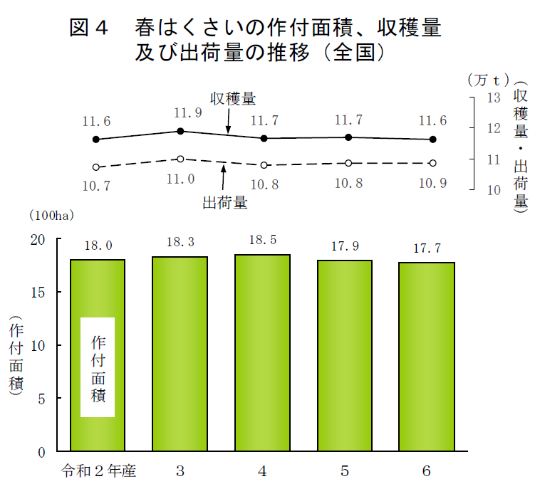 図4 春はくさいの作付面積、収穫量及び出荷量の推移（全国）