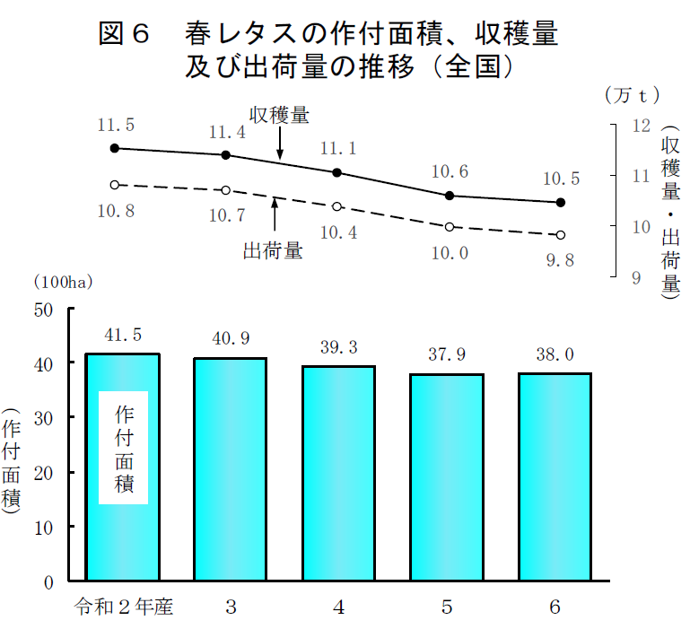 図6 春レタスの作付面積、収穫量及び出荷量の推移（全国）