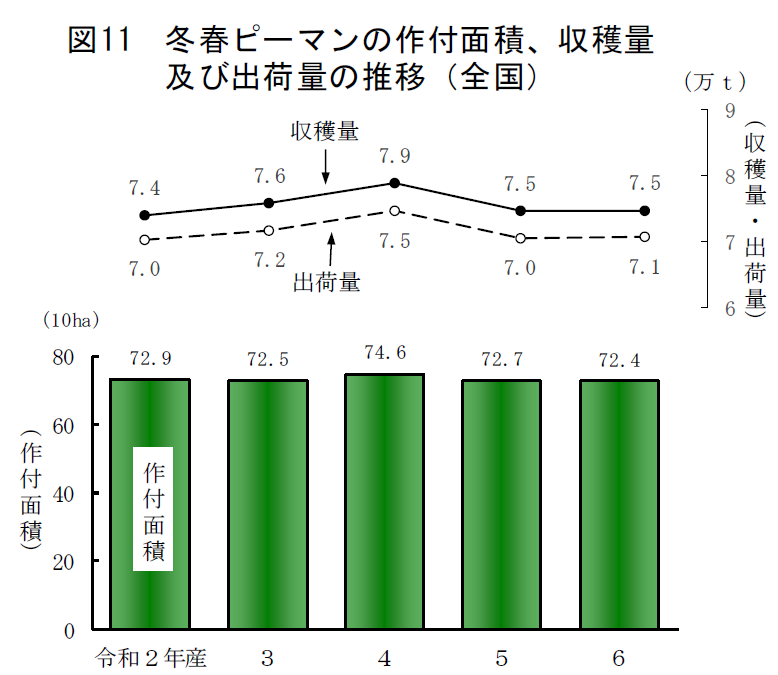 図11 冬春ピーマンの作付面積、収穫量及び出荷量の推移（全国）
