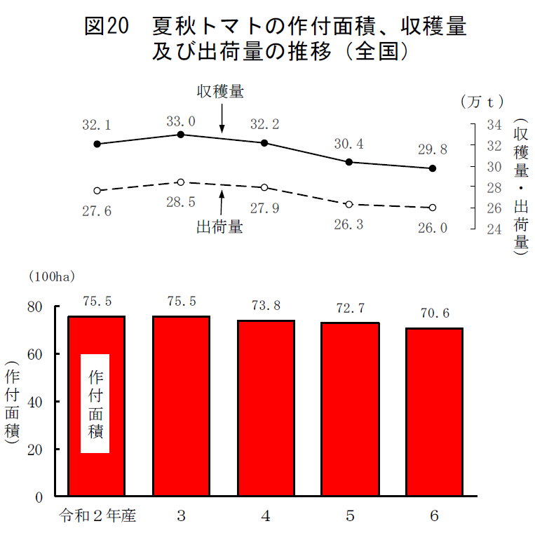 図20 夏秋トマトの作付面積、収穫量及び出荷量の推移（全国）