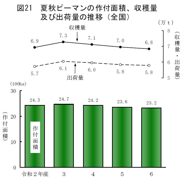 図21 夏秋ピーマンの作付面積、収穫量及び出荷量の推移（全国）