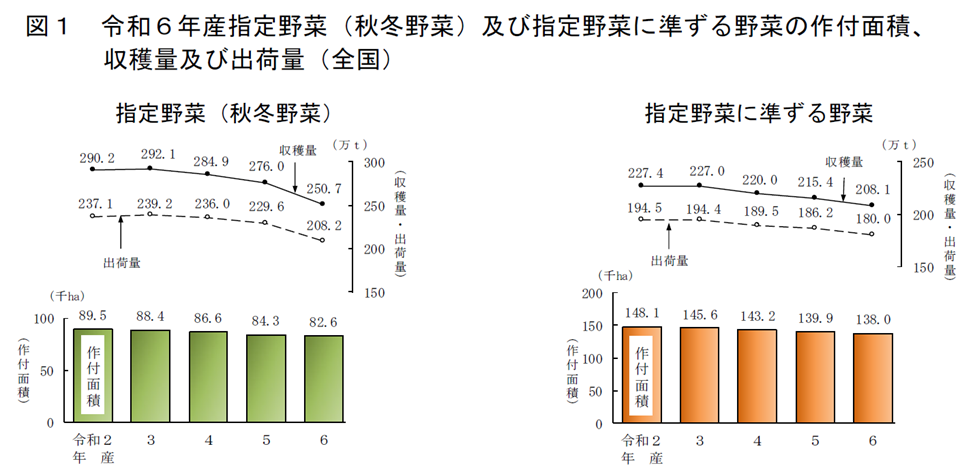 図1 令和6年産指定野菜（秋冬野菜）及び指定野菜に準ずる野菜の作付面積、収穫量及び出荷量（全国）
