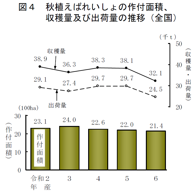 図4 秋植えばれいしょの作付面積、 収穫量及び出荷量の推移（全国）