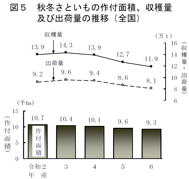 図5 秋冬さといもの作付面積、収穫量及び出荷量の推移（全国）