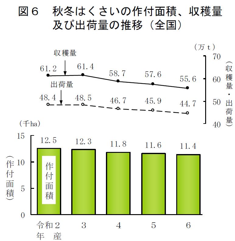 図6 秋冬はくさいの作付面積、収穫量及び出荷量の推移（全国）