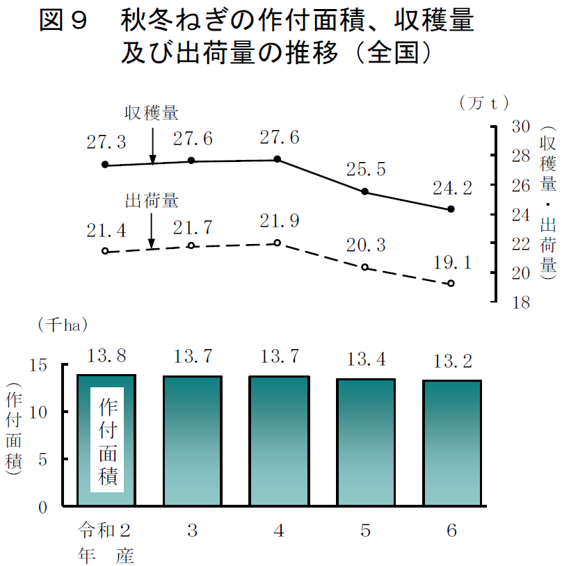 図9 秋冬ねぎの作付面積、収穫量及び出荷量の推移（全国）