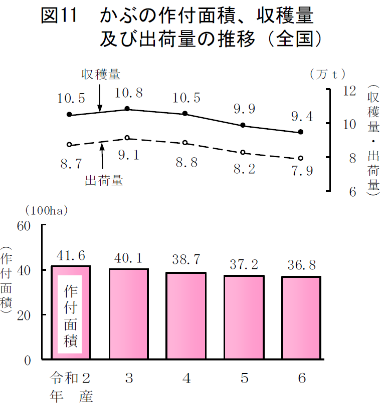 図11 かぶの作付面積、収穫量及び出荷量の推移（全国）