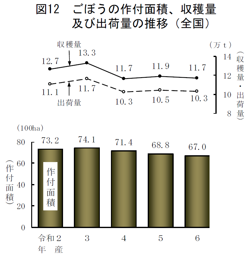 図12 ごぼうの作付面積、収穫量及び出荷量の推移（全国）