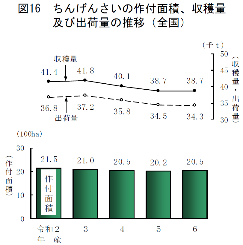 図16 ちんげんさいの作付面積、収穫量及び出荷量の推移（全国）