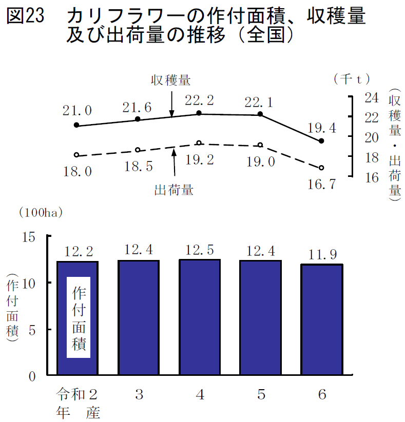 図23 カリフラワーの作付面積、収穫量及び出荷量の推移（全国）