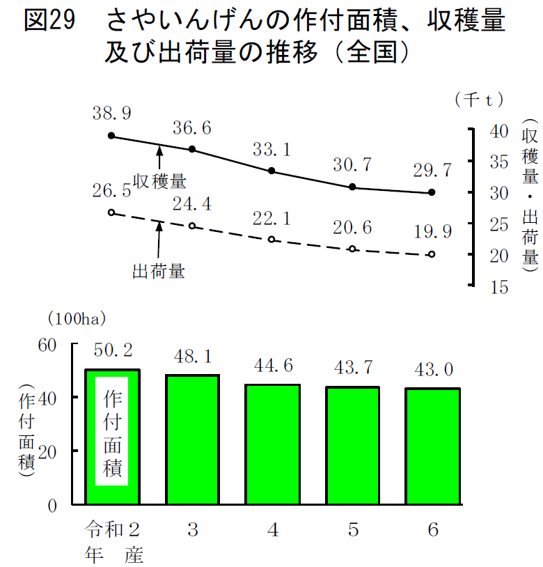 図29 さやいんげんの作付面積、収穫量及び出荷量の推移（全国）