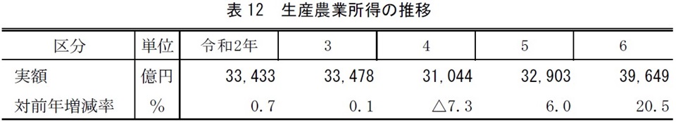 表12 生産農業所得の推移