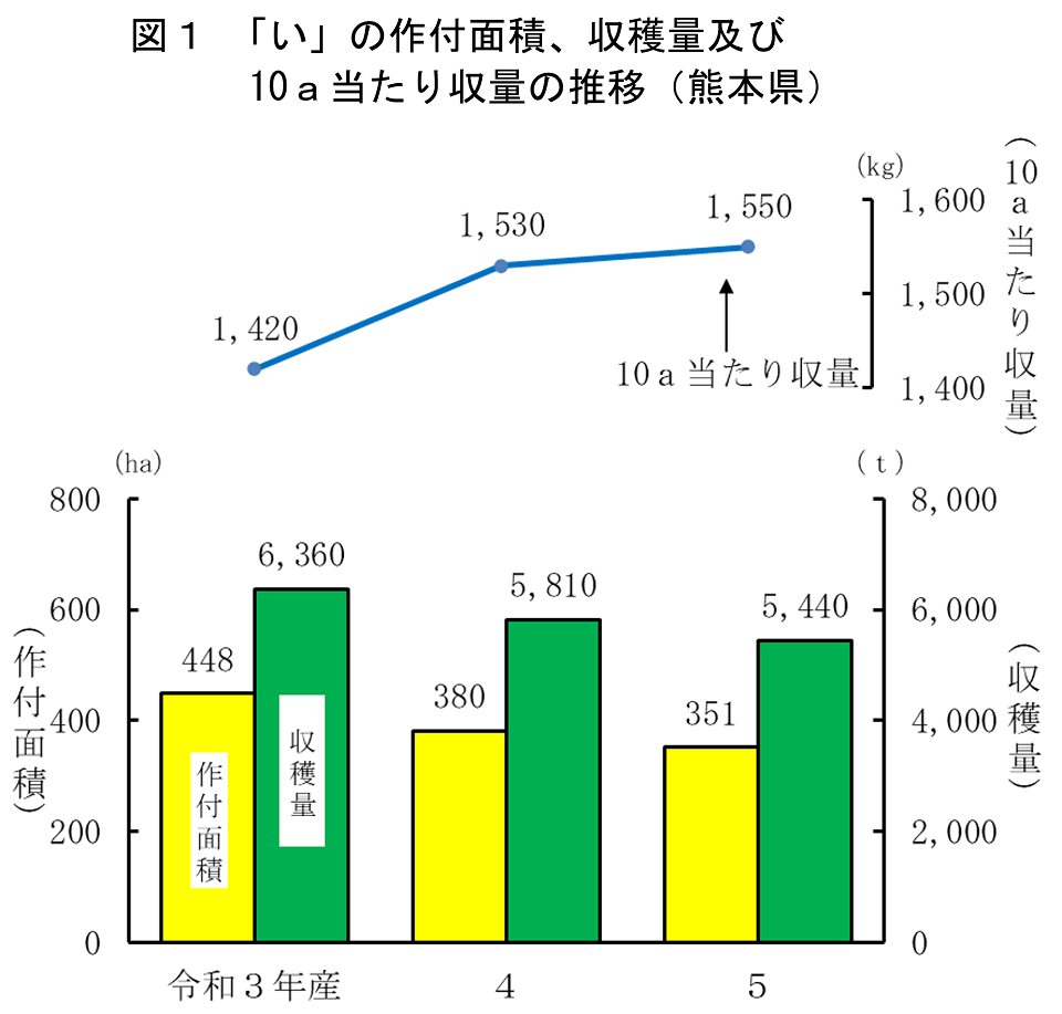図１　「い」の作付面積、収穫量及び10a当たり収量の推移（熊本県）