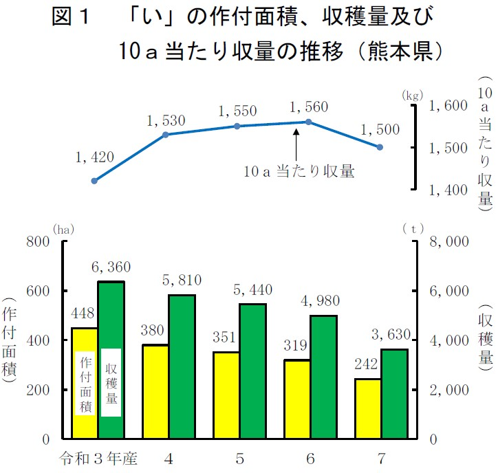 図1「い」の作付面積、収穫量及び10a当たり収量の推移（熊本県）