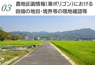 3.畑作物の収穫量の実測