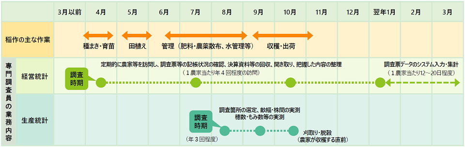 図:専門調査員の業務内容。経営統計:定期的に農家等を訪問し、調査票の回収を行い、システムに入力する(訪問は1農家当たり、年に4回ほど)。収支の年計取りまとめ(1農家当たり6日ほど) 。生産統計:時期ごとに、田植え、出穂、刈取の状況を把握する。 時期ごとに、穂数やもみ数を計測し、刈取調査を行う。