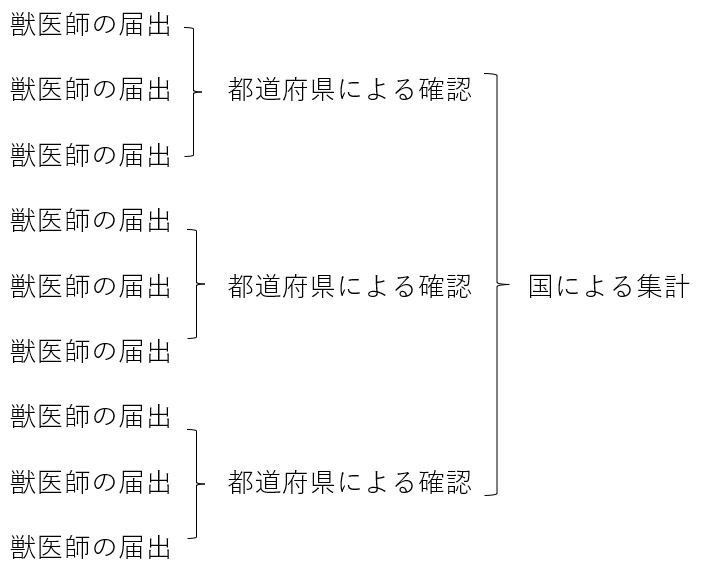 調査体系